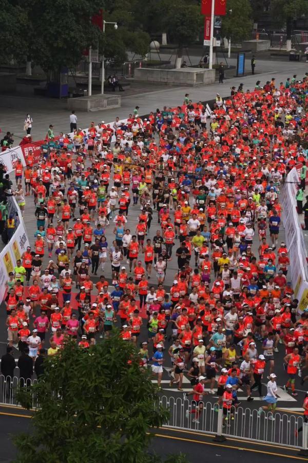 波兰代表团全力以赴，夺得宝贵奖牌的简单介绍