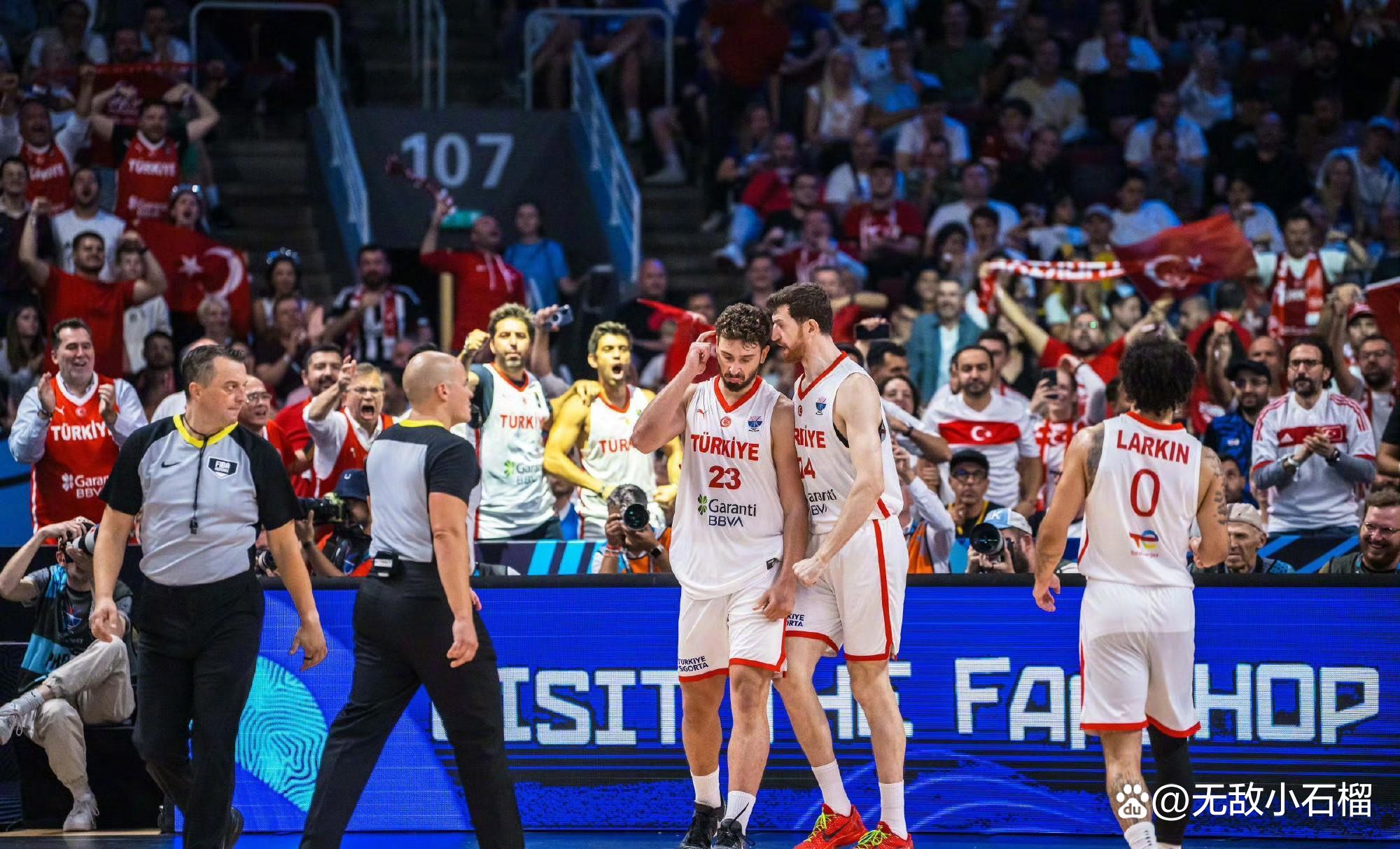 夺冠在望？欧洲杯资格赛中抢眼的黑马